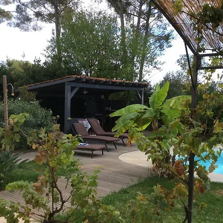 Bed & Breakfast Cousteline *